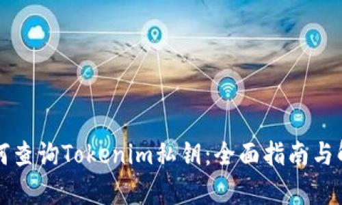 如何查询Tokenim私钥：全面指南与解析