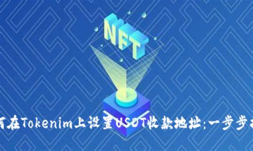 如何在Tokenim上设置USDT收款地址：一步步指南