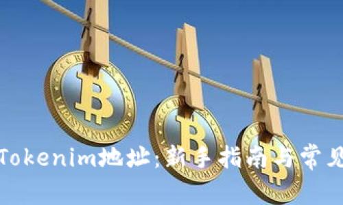 如何导入Tokenim地址：新手指南与常见问题解答