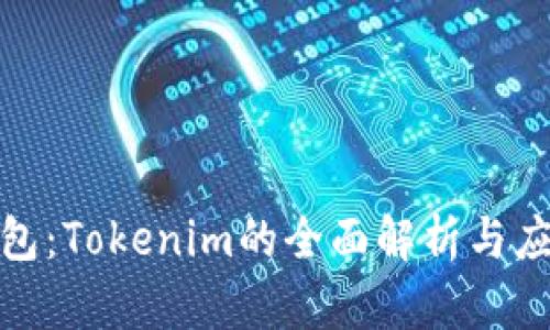 BTM钱包：Tokenim的全面解析与应用指南