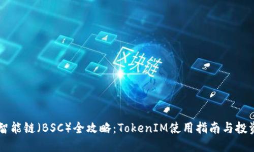 币安智能链（BSC）全攻略：TokenIM使用指南与投资策略