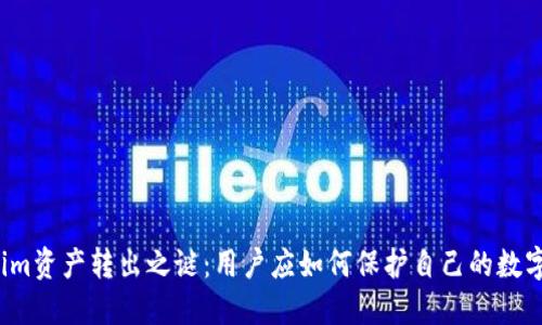 揭开Tokenim资产转出之谜：用户应如何保护自己的数字资产安全？