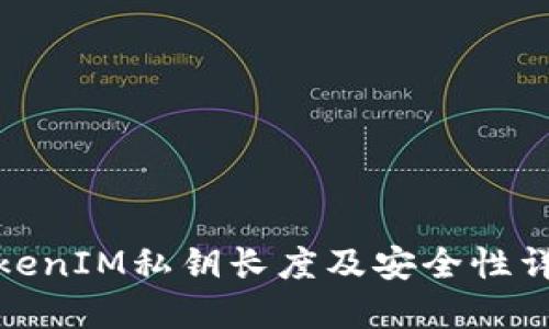 TokenIM私钥长度及安全性详解