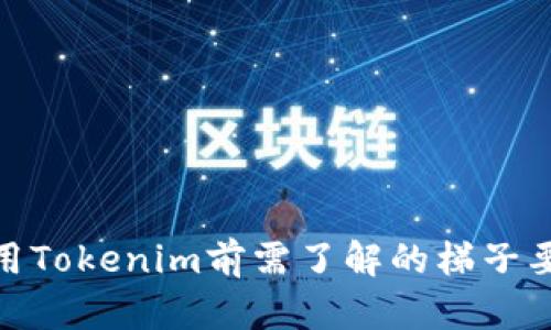 使用Tokenim前需了解的梯子要求