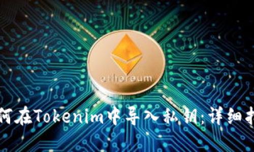 如何在Tokenim中导入私钥：详细指南