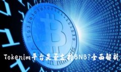 ### Tokenim平台是否支持BN