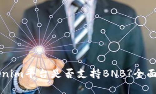 ### Tokenim平台是否支持BNB?全面解析与指南