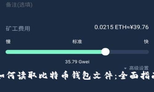 如何读取比特币钱包文件：全面指南