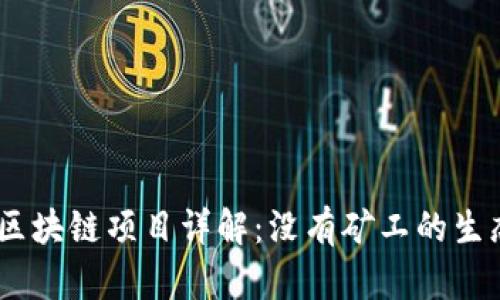 : Tokenim 区块链项目详解：没有矿工的生态对比与分析