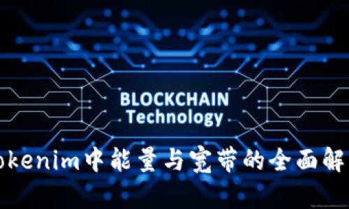 Tokenim中能量与宽带的全面解析