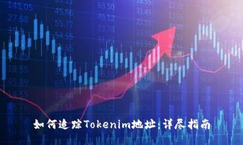 如何追踪Tokenim地址：详尽指南