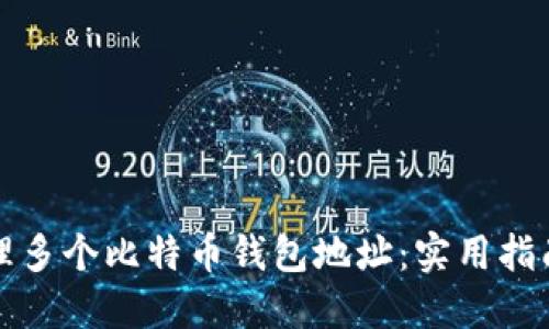 如何管理多个比特币钱包地址：实用指南与技巧