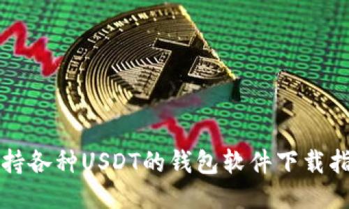 支持各种USDT的钱包软件下载指南