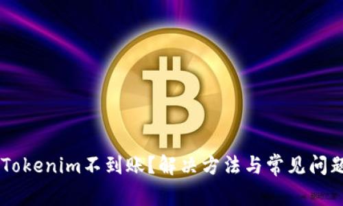 币转Tokenim不到账？解决方法与常见问题分析