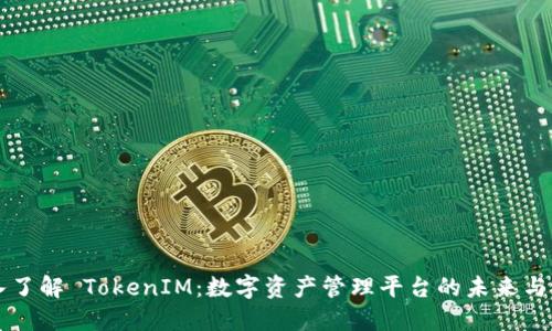 深入了解 TokenIM：数字资产管理平台的未来与潜力