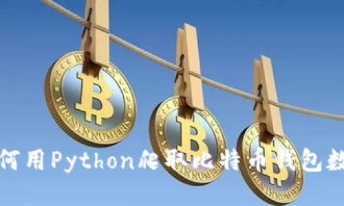 如何用Python爬取比特币钱包数据