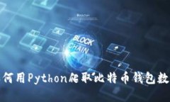 如何用Python爬取比特币钱