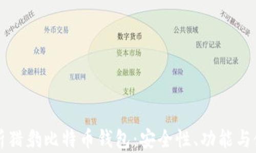 
全面解析猎豹比特币钱包：安全性、功能与使用指南