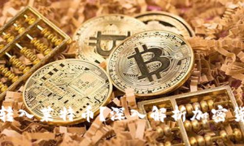 比特币钱包能否转入莱特币？深入解析加密货币钱包的兼容性