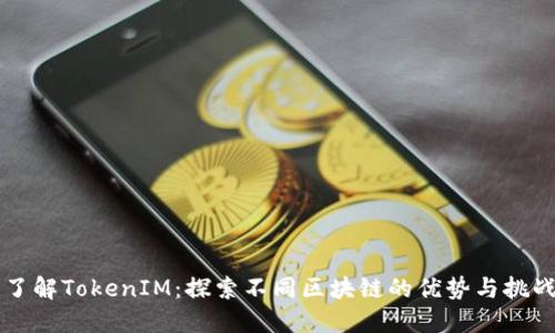 了解TokenIM：探索不同区块链的优势与挑战