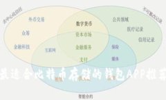 最适合比特币存储的钱包