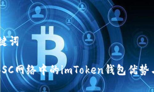 ## 和关键词

全面解析BSC网络中的imToken钱包优势与使用技巧