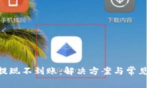 Tokenim提现不到账：解决方案与常见问题解答