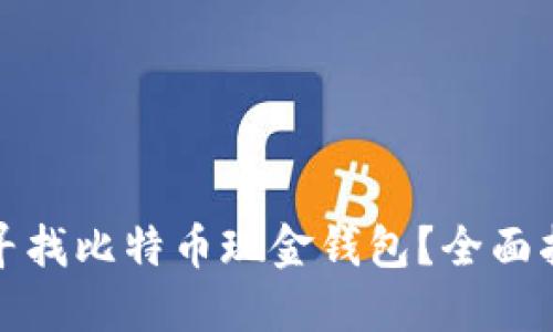 哪里可以寻找比特币现金钱包？全面指南与推荐