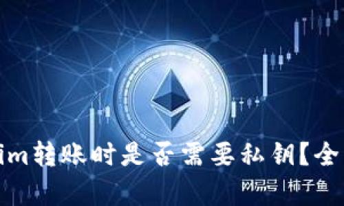 Tokenim转账时是否需要私钥？全面解析