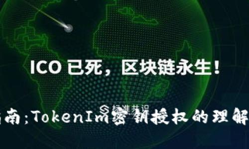 全面指南：TokenIm密钥授权的理解与应用