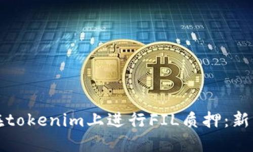 如何在tokenim上进行FIL质押：新手指南