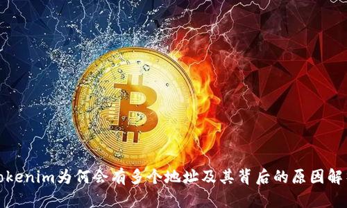 Tokenim为何会有多个地址及其背后的原因解析