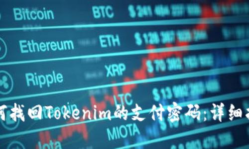 如何找回Tokenim的支付密码：详细指南