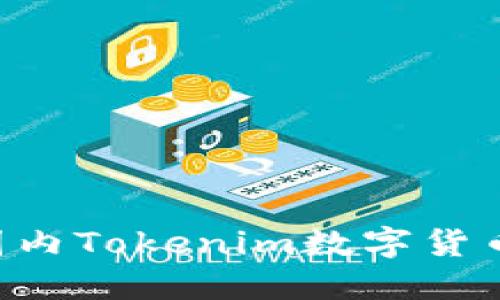 如何购买国内Tokenim数字货币：详细指南