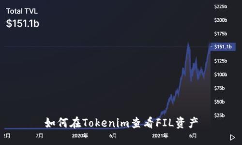 如何在Tokenim查看FIL资产