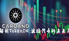 深入解析TokenIM：波场代币