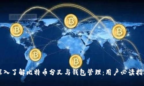 深入了解比特币分叉与钱包管理：用户必读指南