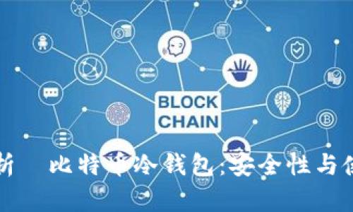 全面解析犇比特币冷钱包：安全性与使用指南