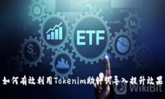 如何有效利用Tokenim助计词