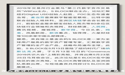深入探讨TokenIM：以太坊公链上的明星项目