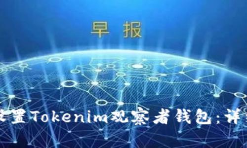 如何设置Tokenim观察者钱包：详细指南