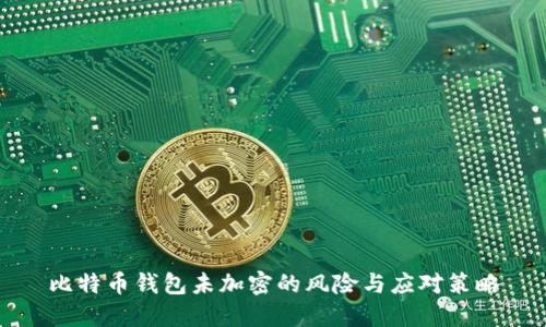 比特币钱包未加密的风险与应对策略