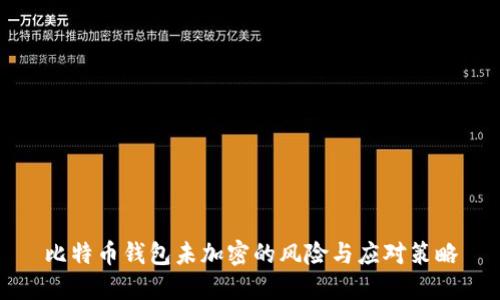 比特币钱包未加密的风险与应对策略
