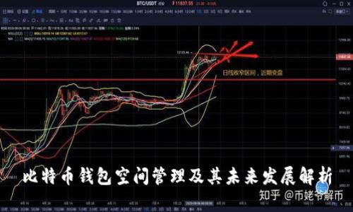 比特币钱包空间管理及其未来发展解析