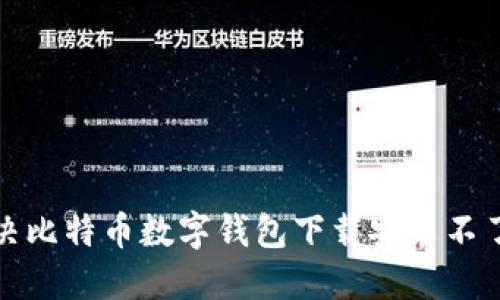 如何解决比特币数字钱包下载安装不了的问题