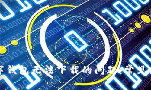 解决比特币数字钱包无法下载的问题：常见原因与解决方案
