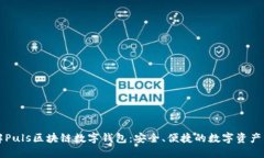 深入了解Puls区块链数字钱