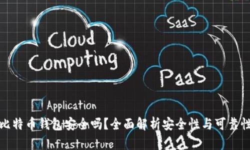 比特币钱包安全吗？全面解析安全性与可靠性