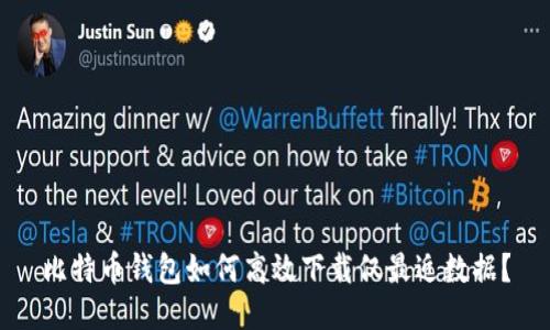 比特币钱包如何高效下载仅最近数据？
