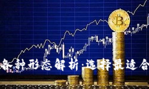 比特币钱包的各种形态解析：选择最适合你的钱包类型